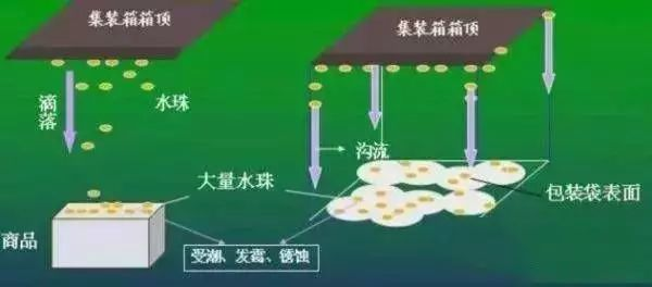 集裝箱里進水，誰的錯？如何預防應對？